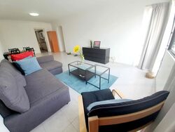 Central Green Condominium (D3), Condominium #449439431